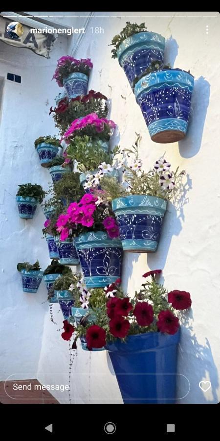 Mijas Pueblo Paradise Villa Málaga Dış mekan fotoğraf