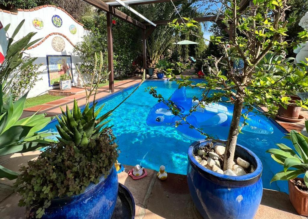 Mijas Pueblo Paradise Villa Málaga Dış mekan fotoğraf